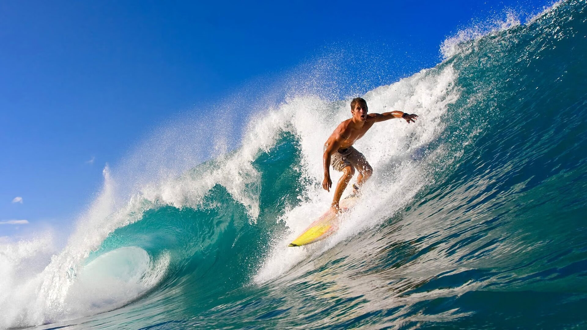 “东桃花岛:缆绳滑水让水上运动焕发新光彩”